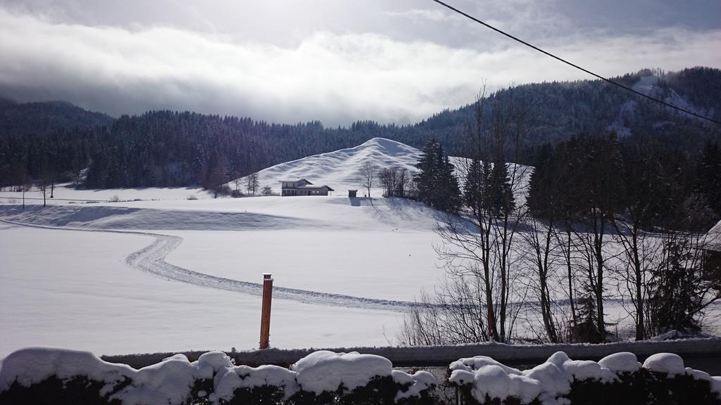 魏森湖Haus Alpina公寓 外观 照片
